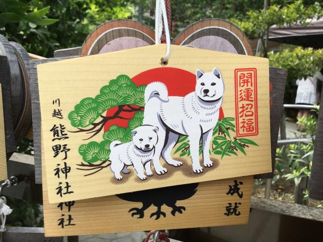 川越熊野神社の絵馬