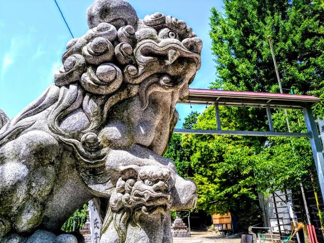 富部神社の狛犬