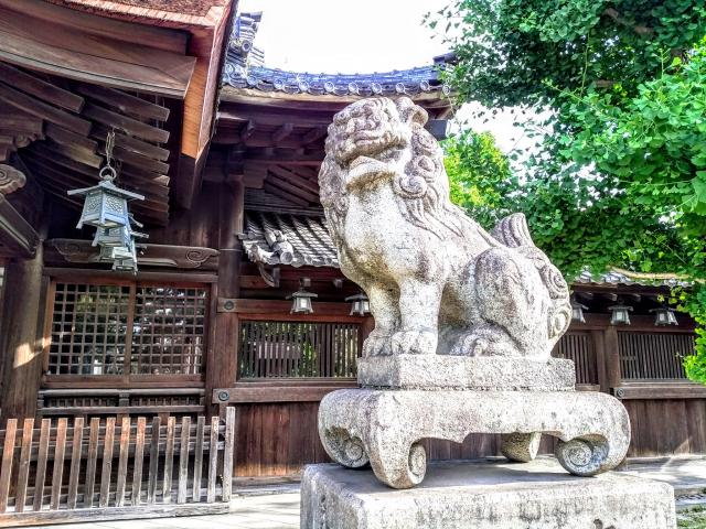 尾張八幡神社の狛犬