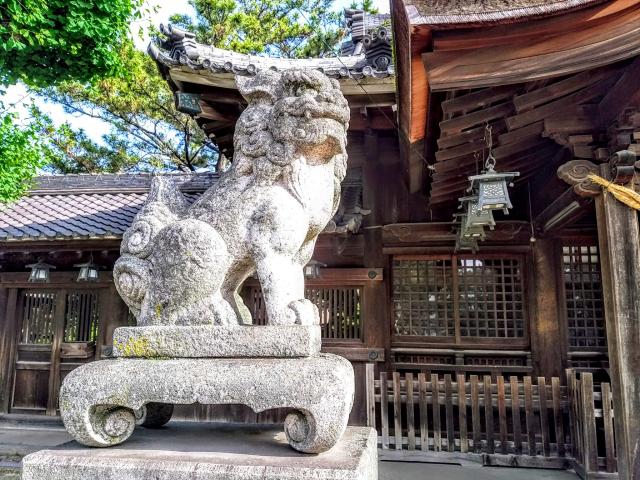 尾張八幡神社の狛犬