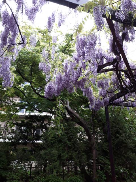 平岸天満宮・太平山三吉神社の庭園