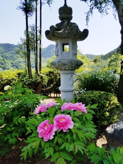 宝徳寺の庭園