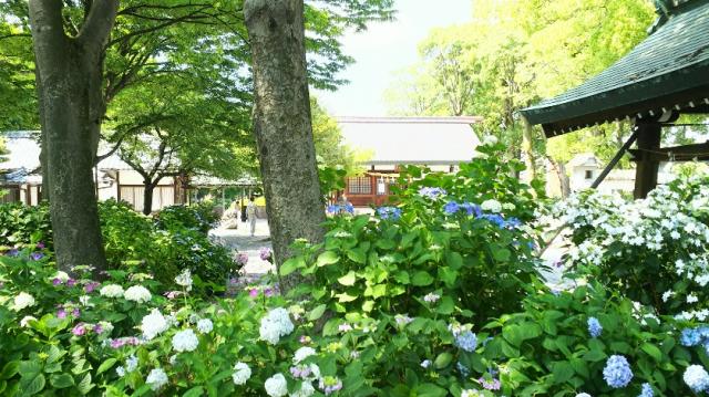 御裳神社の庭園