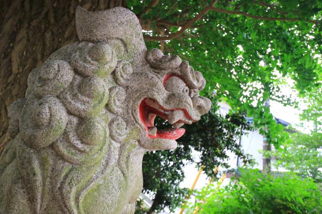 弥生神社の狛犬
