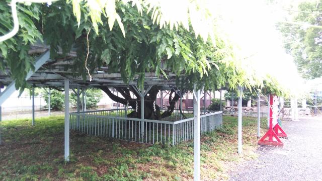 菖蒲神社の庭園