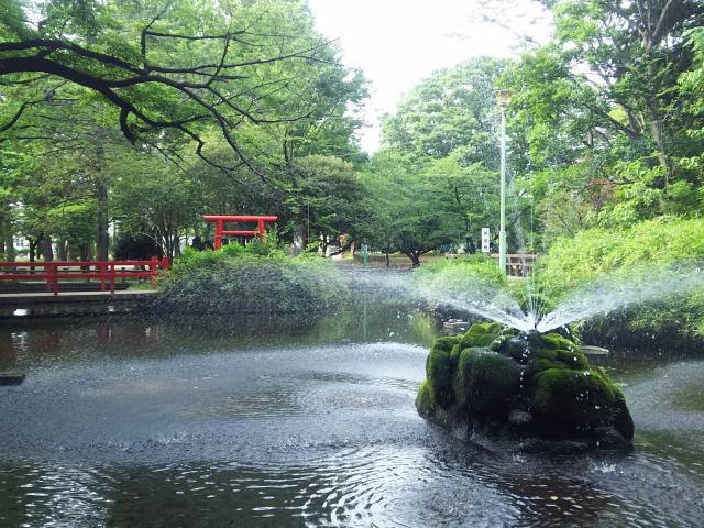 天祖神社（与野七福神　寿老神）の庭園