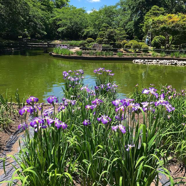 伊佐須美神社の庭園