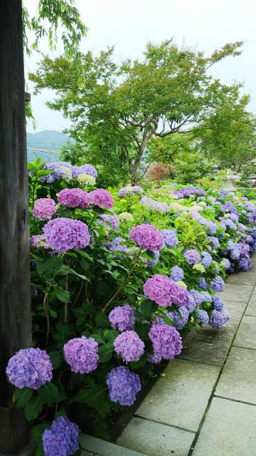 松源寺の庭園