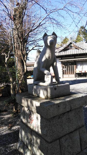 三軒地稲荷神社の狛犬