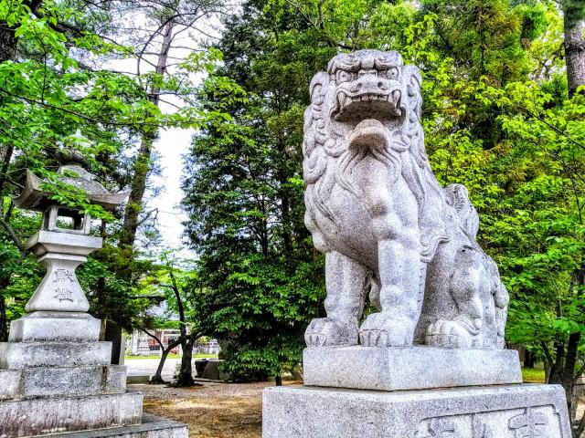 本刈谷神社の狛犬