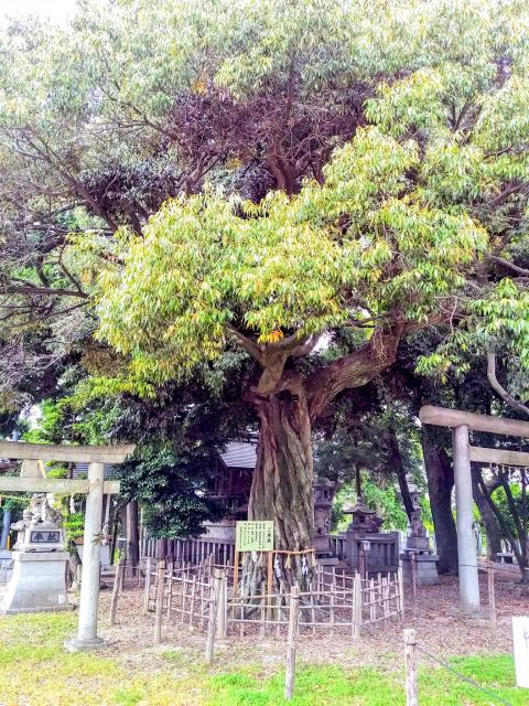 本刈谷神社の庭園