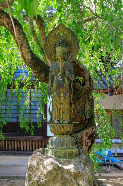 光明寺の仏像