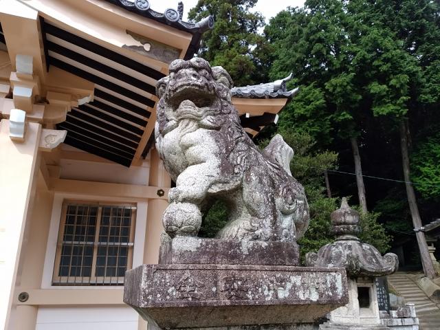 熊野神社（吉川熊野神社）の狛犬