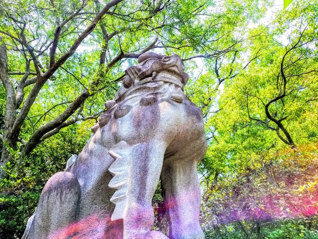 市原稲荷神社の狛犬
