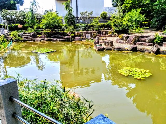市原稲荷神社の庭園