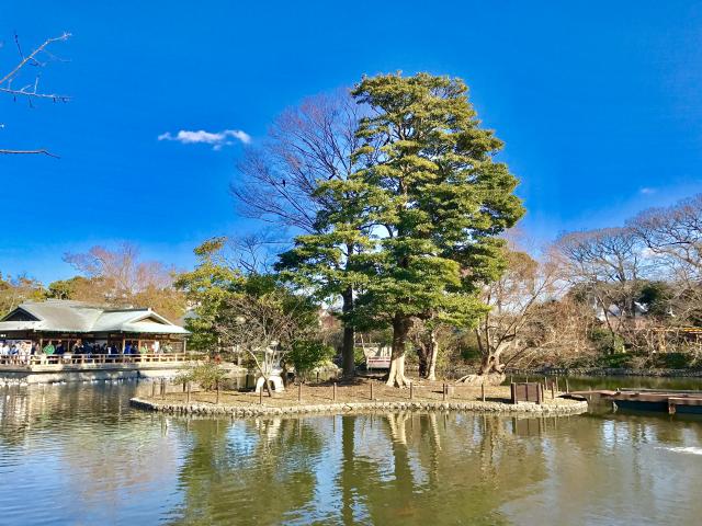 鶴岡八幡宮の庭園