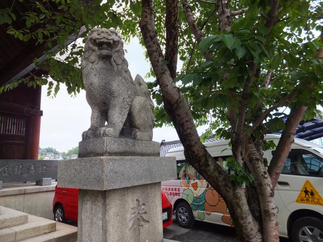 龍宮神社の狛犬