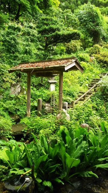 妙雲寺の庭園