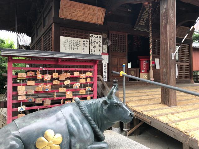 蒲原神社の狛犬