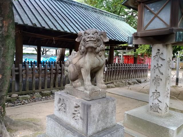那古野神社の狛犬