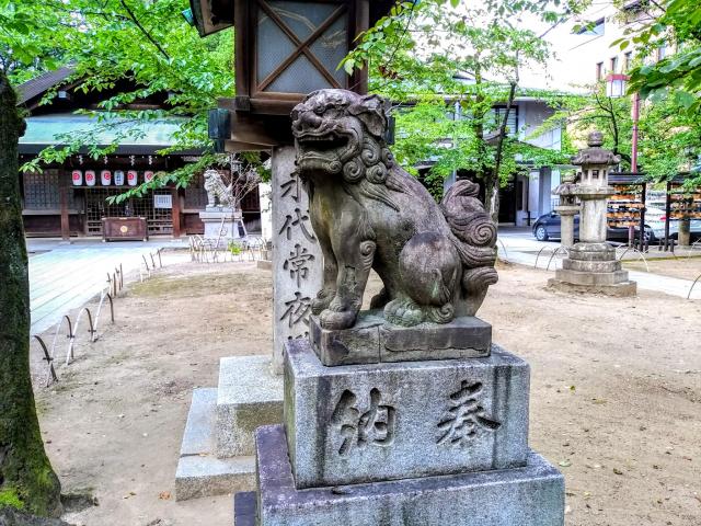 那古野神社の狛犬