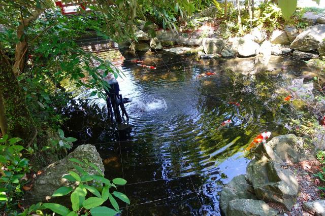 猿田彦神社の庭園