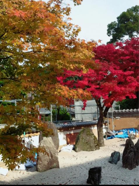 光明禅寺の庭園