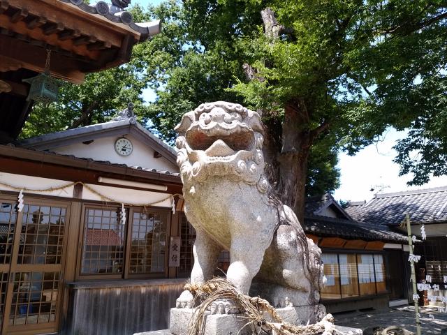 天子神社の狛犬