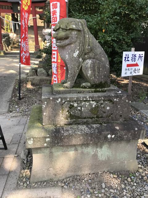 小幡八幡宮の狛犬