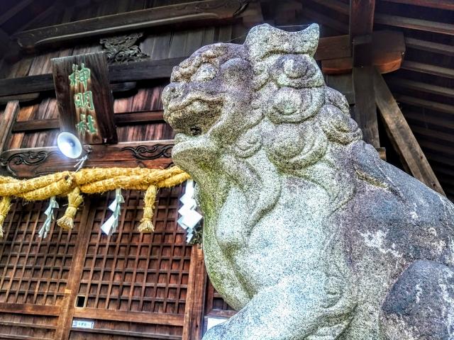 八ツ屋神明社の狛犬