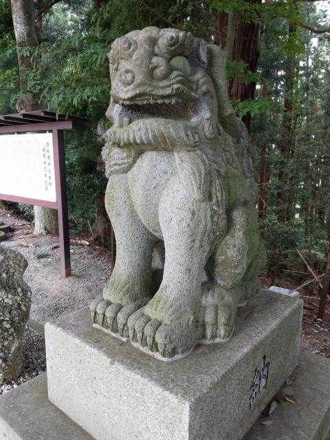 白和瀬神社の狛犬