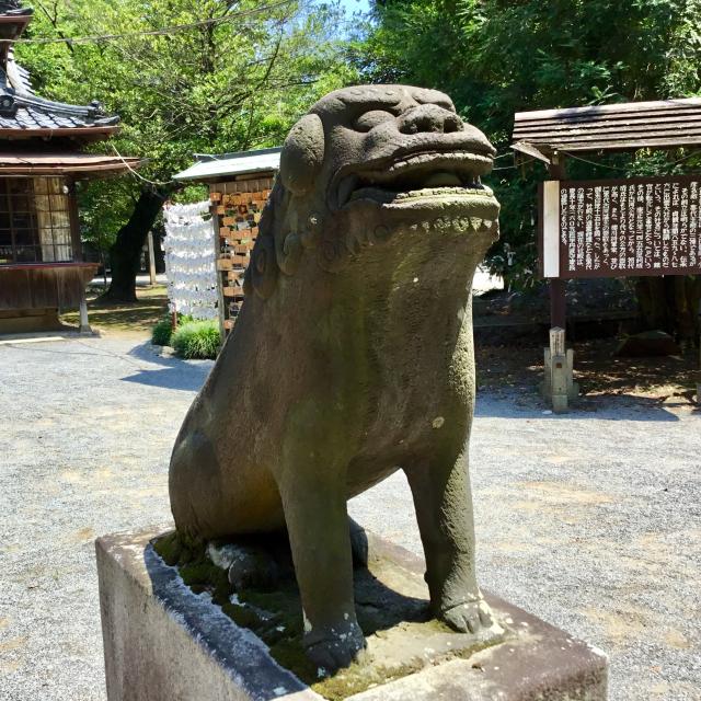 雀神社の狛犬