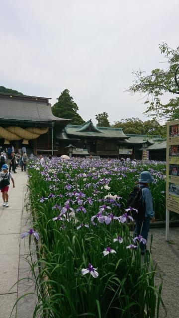 宮地嶽神社の庭園