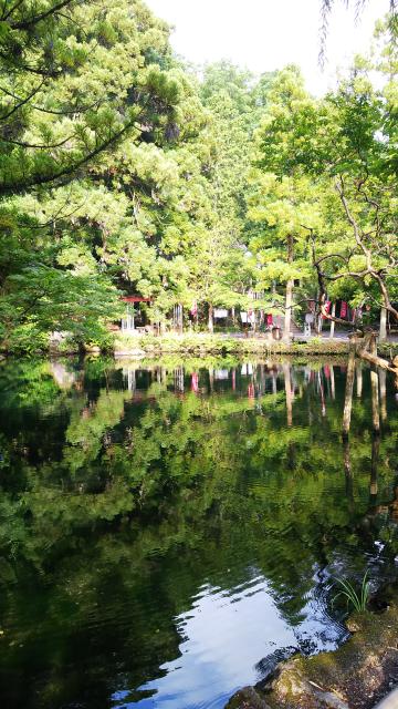 涌釜神社の庭園