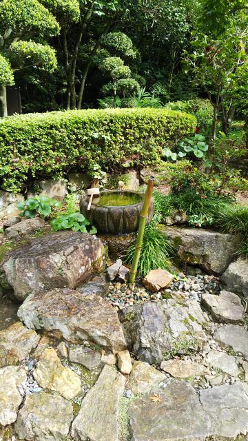 唐澤山神社の庭園