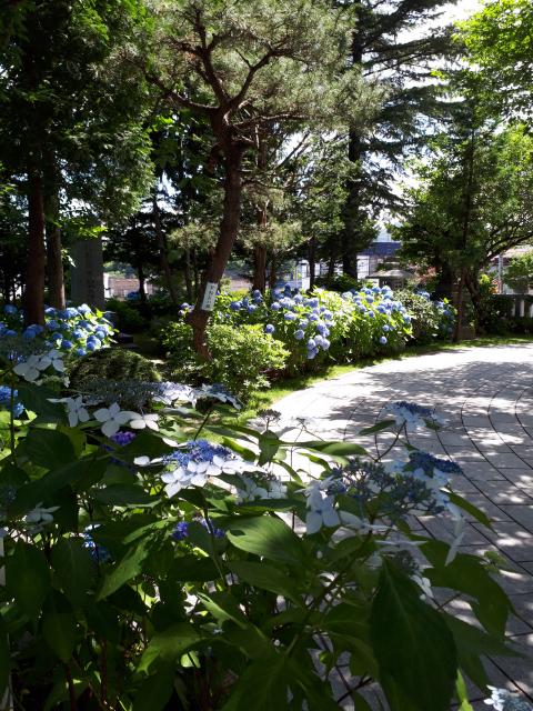 西野神社の庭園