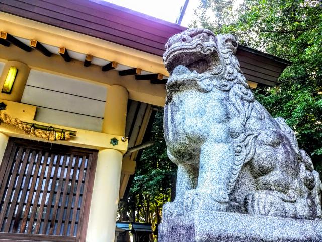 藤井神社（追分藤井神社）の狛犬