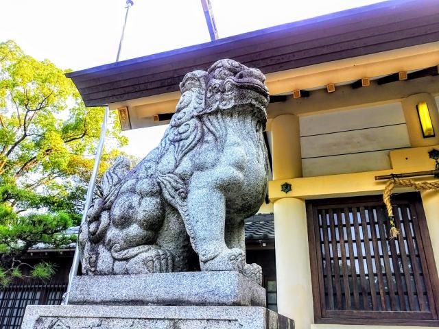 藤井神社（追分藤井神社）の狛犬