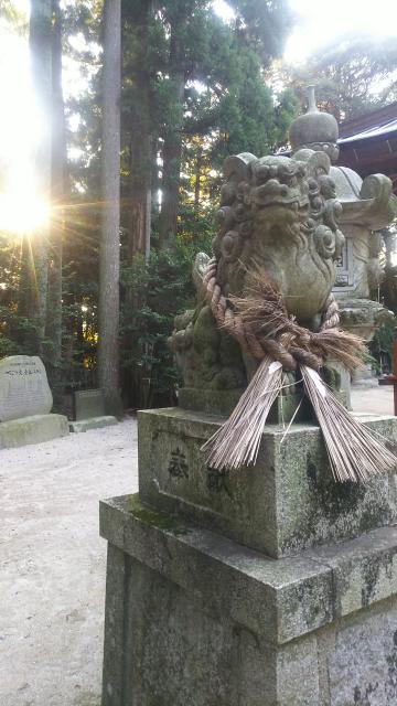愛宕神社の狛犬