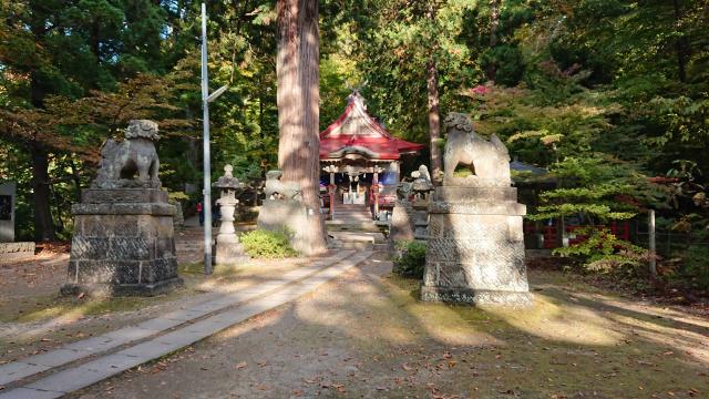 中野神社の狛犬