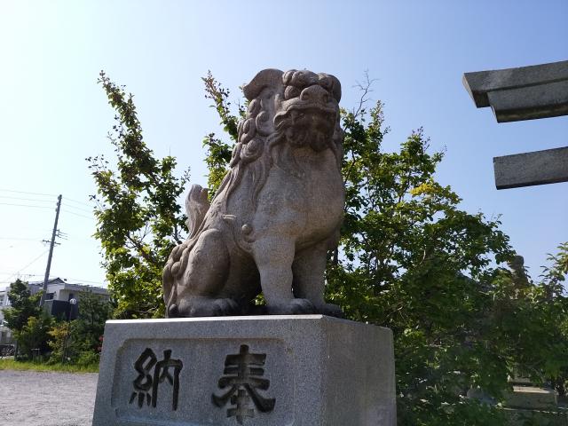 海椙神社の狛犬