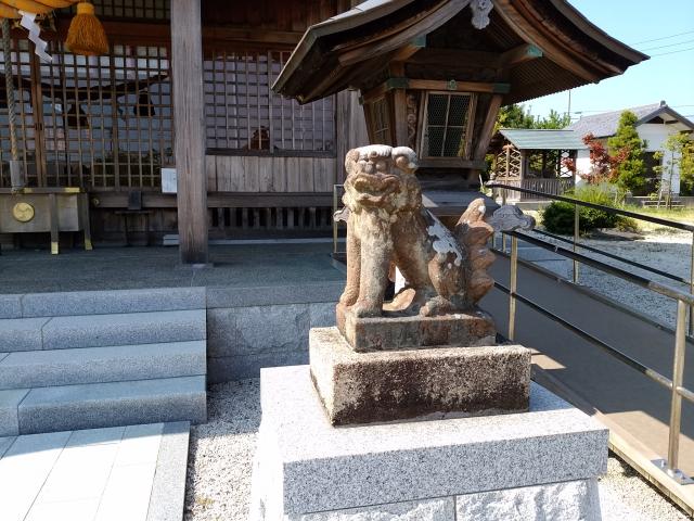 海椙神社の狛犬