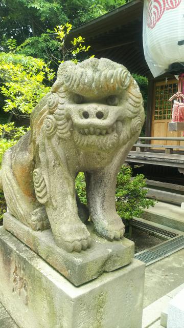 大國魂神社の狛犬