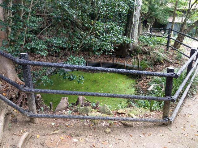 西坂ねこ稲荷神社の庭園