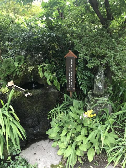東善寺の庭園