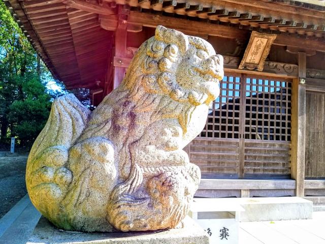 八幡社（白沢八幡神社）の狛犬