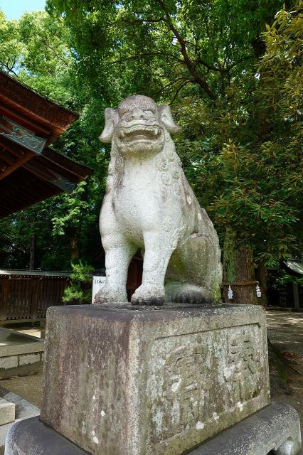 知立神社の狛犬