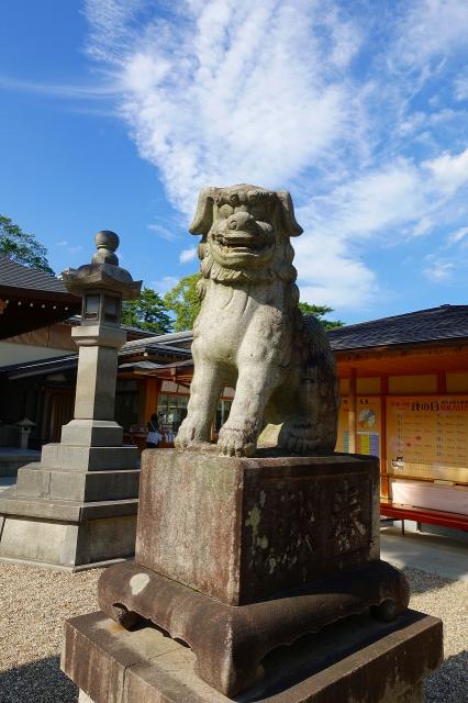 龍城神社の狛犬