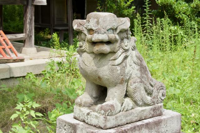 浪江神社の狛犬