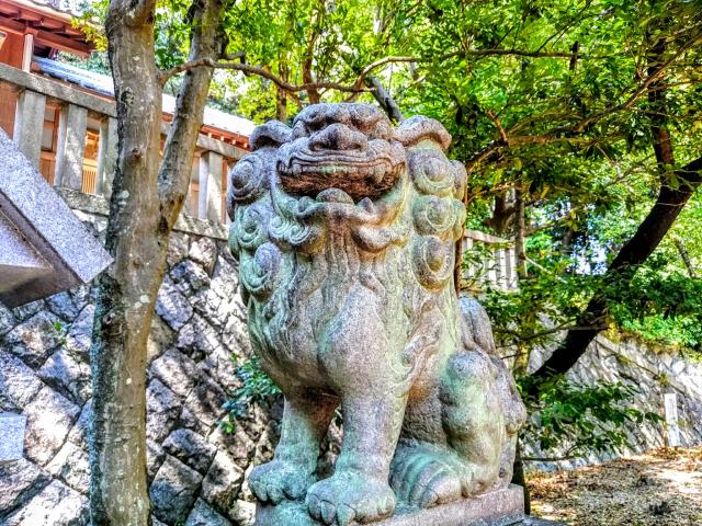 常石神社の狛犬